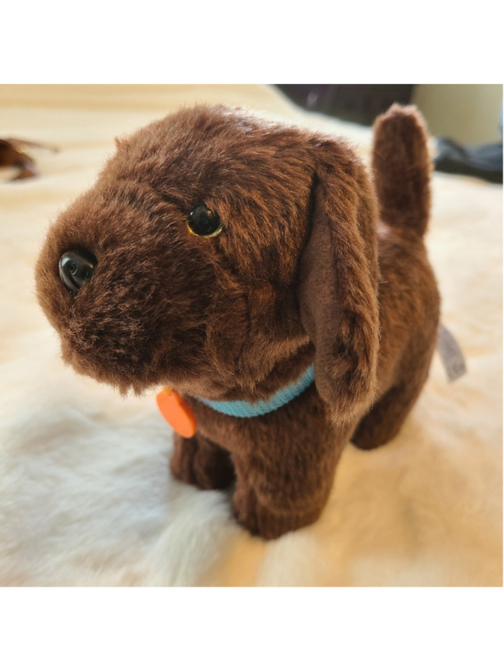 American Girl Chocolate Chip Dog Chocolate Brown Lab Collar 2014